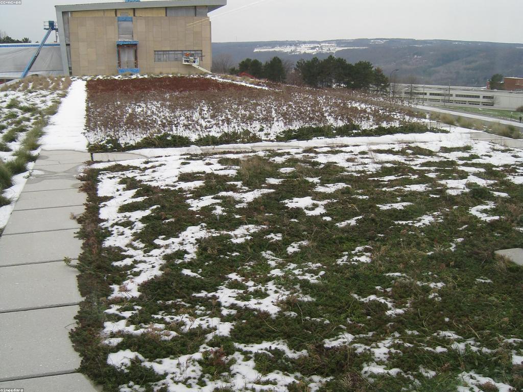 Latest Industry Trends Shaping 2023