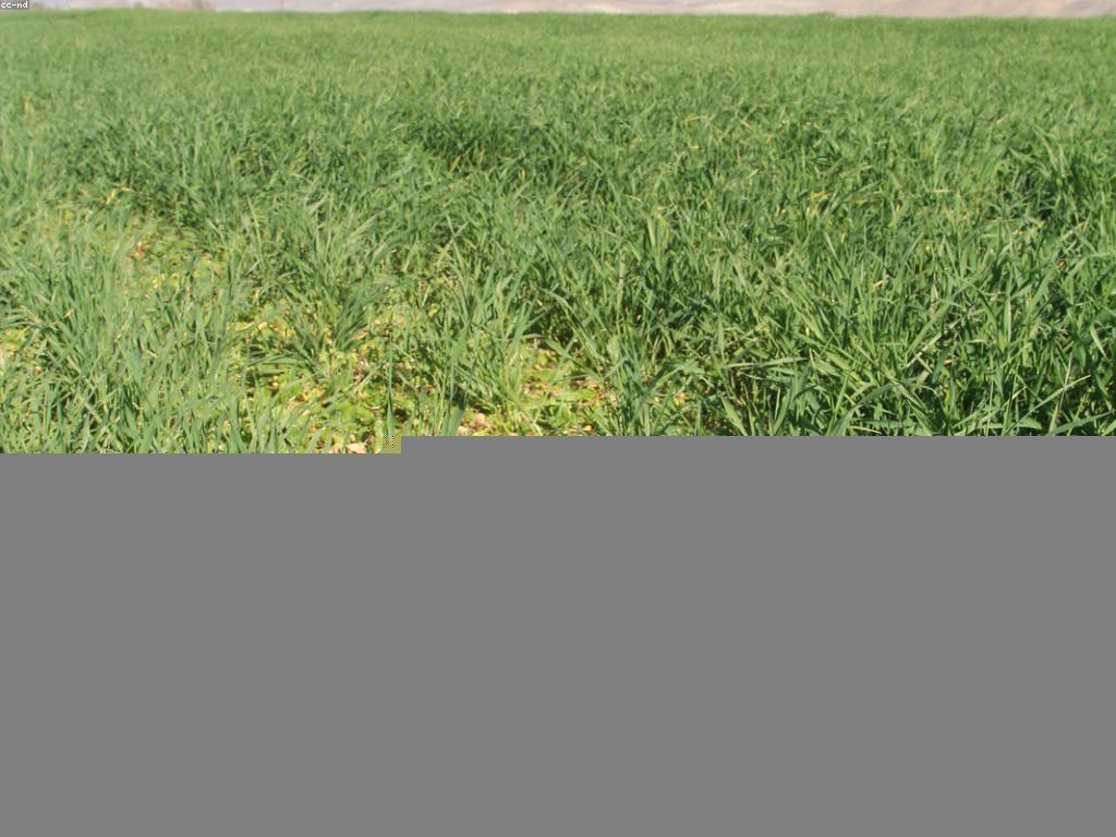 Regulatory Insights in Agricultural Technology: Navigating Compliance in a New Era